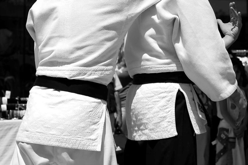 Judo Martial Arts